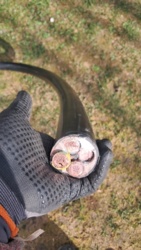 a00f158d-9163-4298-950d-5737530610fe