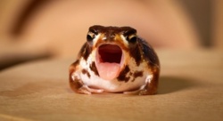 b2bd7590-3a50-4893-b7bd-00ec6e26565e