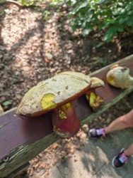 1c48de32-98e6-47af-9be7-b8b2a1169673