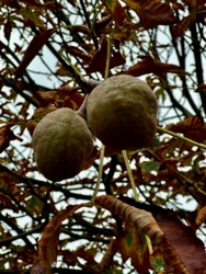 9ce5cefb-cf81-457f-bfe6-e2cc8a87bd71