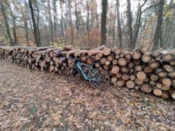 c6c8ad01-a1a5-43ae-b037-e887de61e196