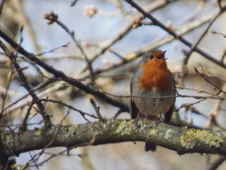 6ba1082c-cc35-4a9a-9294-eca718ca364d