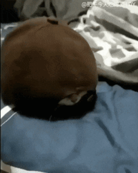 93b0ebca-f13b-4af6-b0e7-98259c52ff52