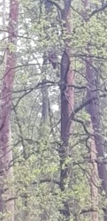 e25066bc-9726-4562-b219-c41d1e70048e