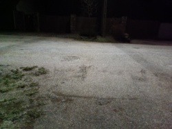 ed109896-1ad3-42f7-a33a-0c93428c0ad5