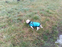 d8b27431-cd65-42f9-8fb3-2778f373c6db