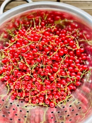 fcd5d6e2-60ac-4ff6-83f9-ce1d2e1c7c5a