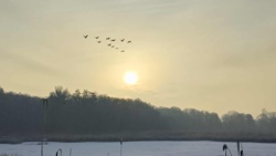 b63b397d-20f6-4c84-a7d3-61ebcdcefa4d