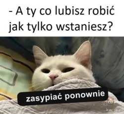 56d3f932-d1c3-43f5-9684-96774bd9c546