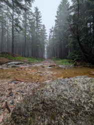 842f8e0e-3771-409b-8d67-259b74abcbd5