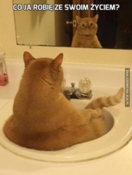 e2f990ef-ca19-4d91-80ef-bb8550e35372