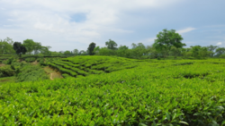 d00496d2-ae34-4000-8546-953ecaa95dc6