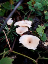 7383d7cd-2ba2-4a6e-87d0-694fe992bfd1