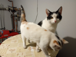 43abbad6-9b80-4291-b32a-da61f66bee20