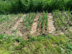 251b98f6-9b6c-430b-a336-d87cea44c454