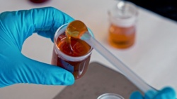 Czy twój miód naprawdę wytworzyły pszczoły? Food Detectives walczą z fałszywym miodem