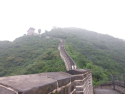 9dadf318-8529-4d9c-be0f-a139725f5548