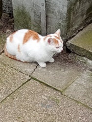 b4147b03-8ef2-4253-a790-f1e8fad57432