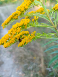 e2250ff3-e2ab-40ca-954c-4967dde49ee3