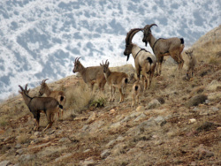 1cdc5a99-e974-456f-9c95-b9804f87837c