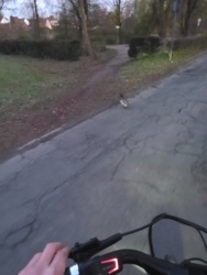 2544f374-5804-477e-ac4c-424142a8d902