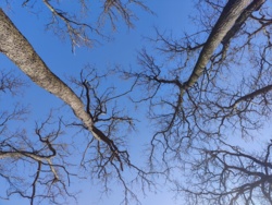 fc1c3751-a11f-402d-aac8-2dc55bcb0f67