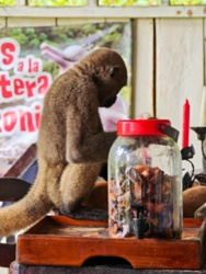 73d28c94-13cc-4d92-9374-83e728fe7891