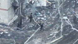 180b3de7-6a95-4d1d-9cd5-81c67a085631