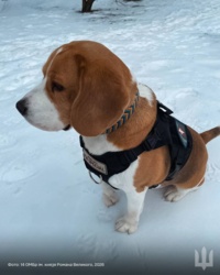 17be1636-9e46-44b6-86e1-4914848436b1