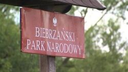 Podlaskie. Będzie "druga Rospuda"? Spór o przebieg trasy Via Carpathia