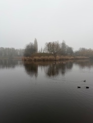 d5d888c2-2c42-41b2-bf1d-73c717720671