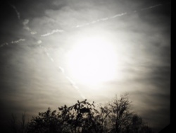 1691362b-6342-4096-8f57-d72731c98355