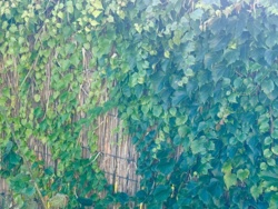 25d03f88-c33e-462e-a036-fa251a2c8ac6