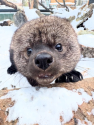 82c90eff-4a08-4078-ab4e-1e838ddbf53d