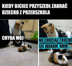 37e28c83-05dc-4cfe-a32b-8cec60629fd4