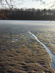 c5142737-a4eb-45c1-9eaf-aff697c48578