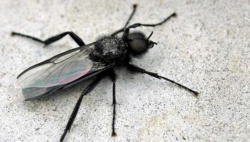 43d2ba31-e0ad-4d1b-ab3c-9b5d28bf2227