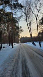 0ac61603-a045-431b-bf0a-fbf96dd3a914