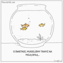 1c286e4e-5539-4ef2-84b9-f818d71fdf22