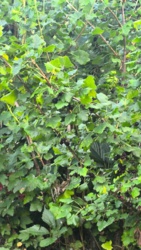 62d8d044-42b1-442f-b5a3-858ea3dc2e01