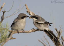 d75a4afd-5094-4ee3-9a95-a0f055c74f14