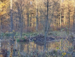 5c126e15-9cae-4182-9f25-8217bc941ecc