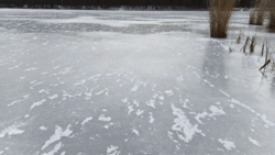 34b98c64-1a79-4652-b6f5-23e6a1943ecd