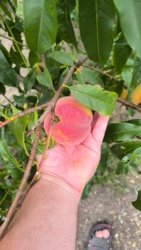 f75c367c-0f37-455a-88e3-9b2ff4cfa7ee