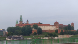 1bb9db68-225e-43a7-882d-3d87e97ba470