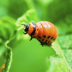 75100ecd-230a-4a51-924a-e2e119467843