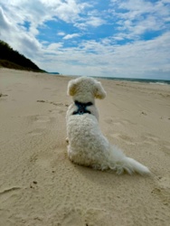 58b080b9-a855-4395-a868-62d4116ec2a2