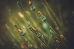 59a498e1-f30e-4b85-a98f-005b50f53fde