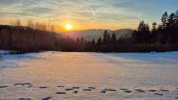 aed8b0a4-21d0-43f2-aa3d-b97da99959bc