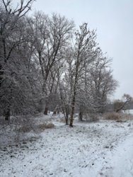 41d81928-eebc-4a1d-b724-65ad142853f6